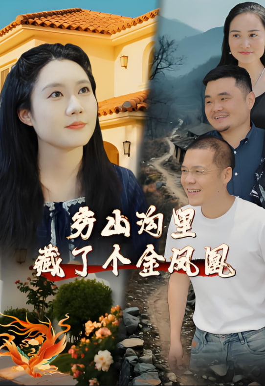 穷山沟里藏了个金凤凰封面