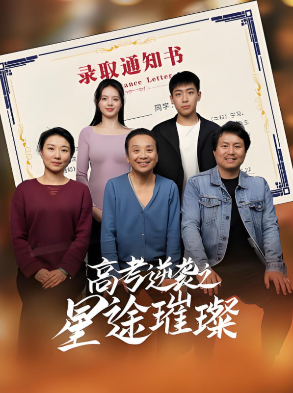 高考逆袭之星途璀璨封面