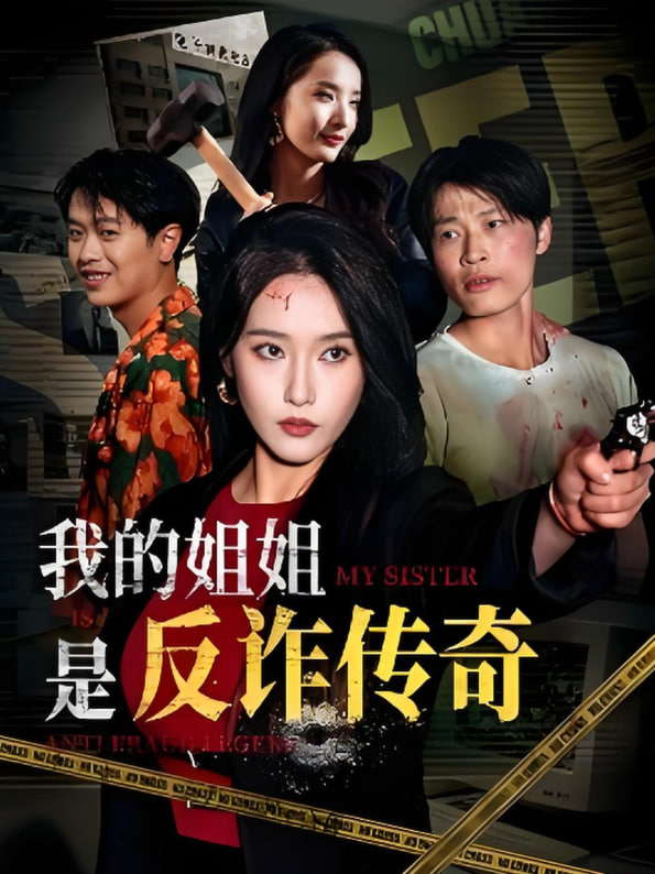 我的姐姐是反诈传奇封面
