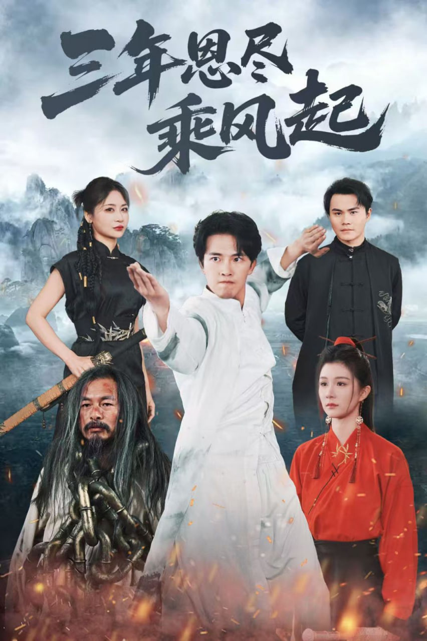 三年恩尽乘风起封面