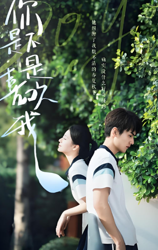 你是不是喜欢我封面