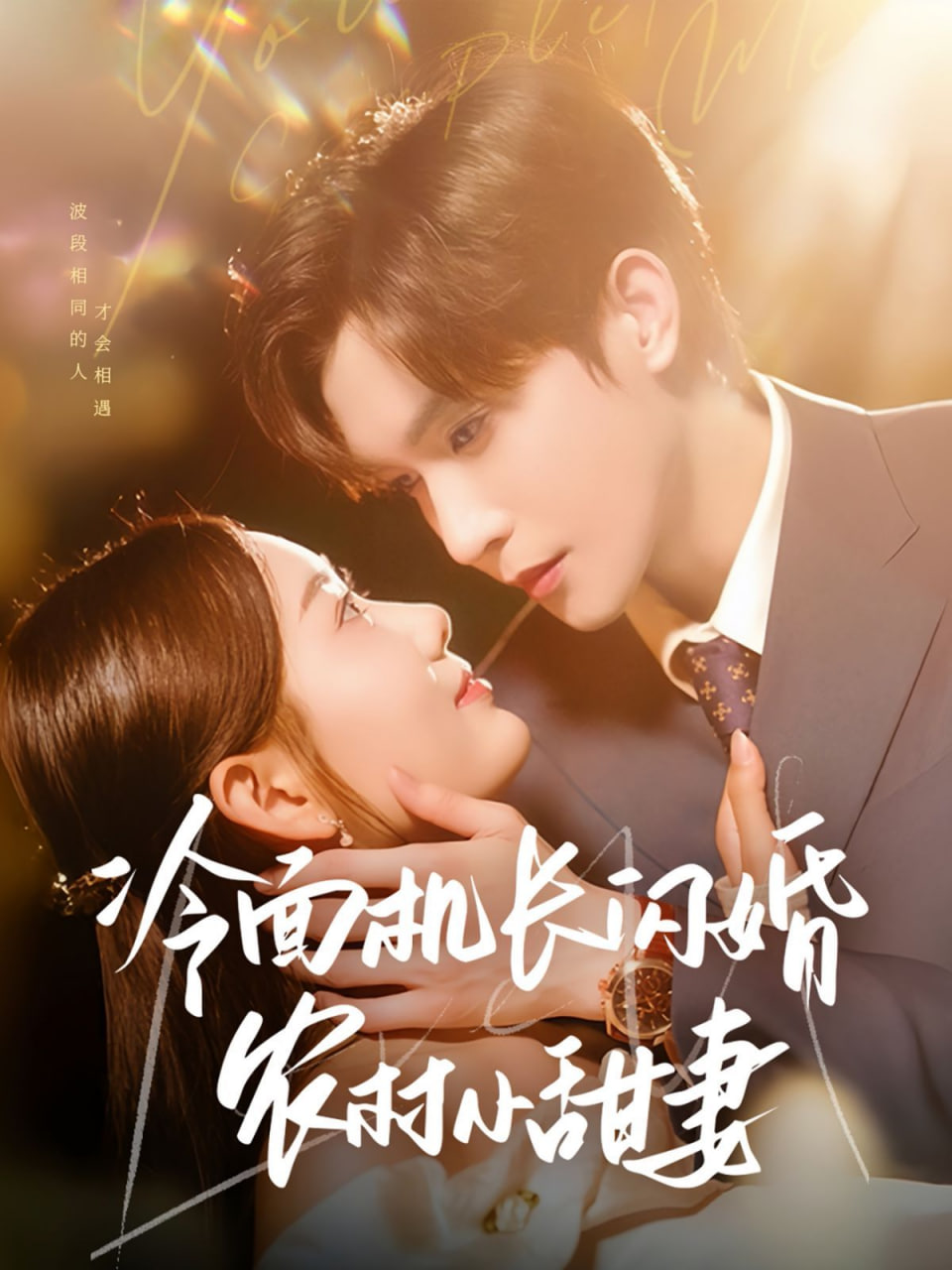 冷面机长闪婚农村小甜妻封面