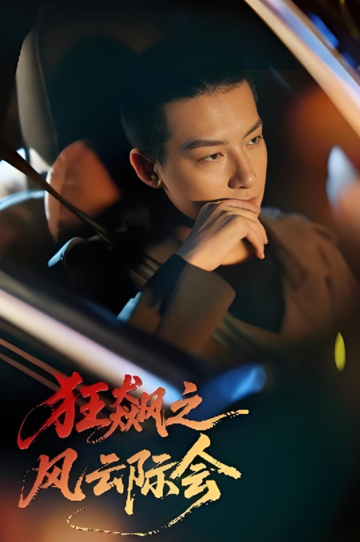 狂飙之风云际会封面