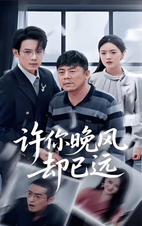 许你晚风却已远封面