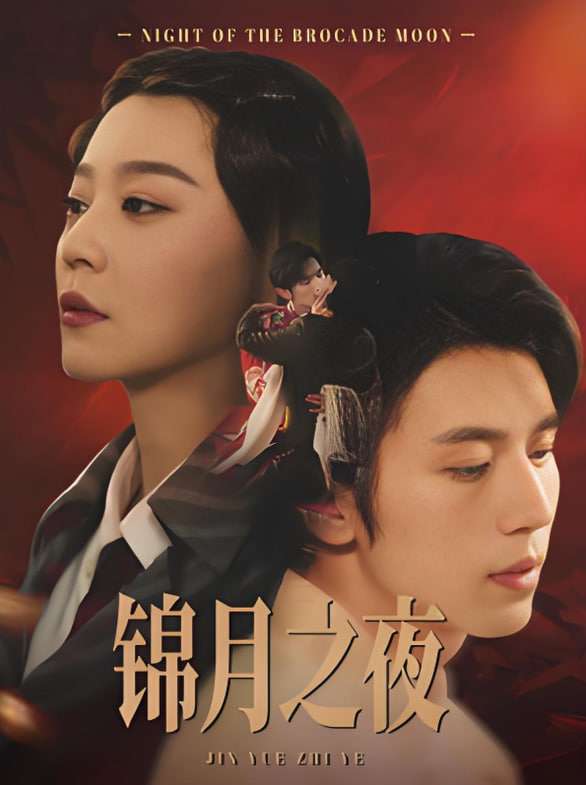锦月之夜封面
