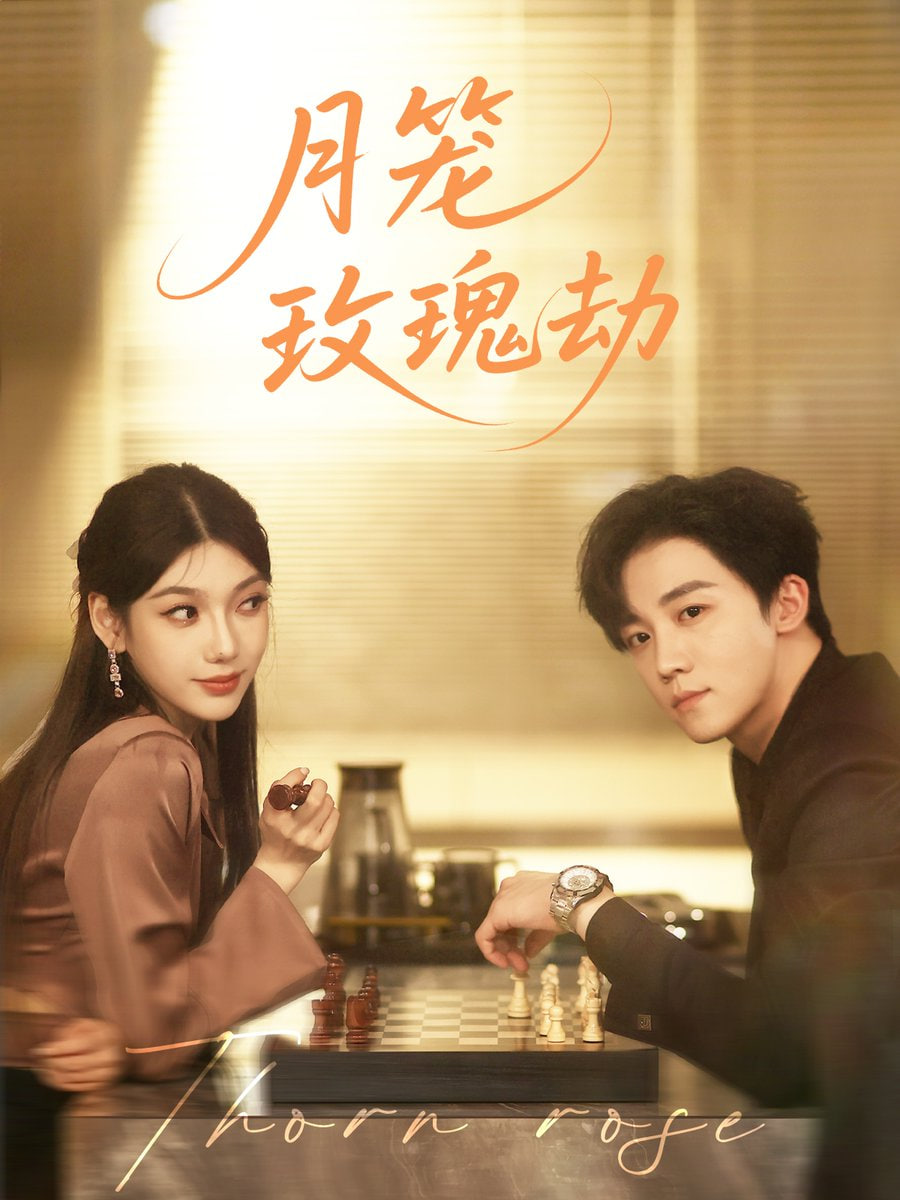 月笼玫瑰劫封面