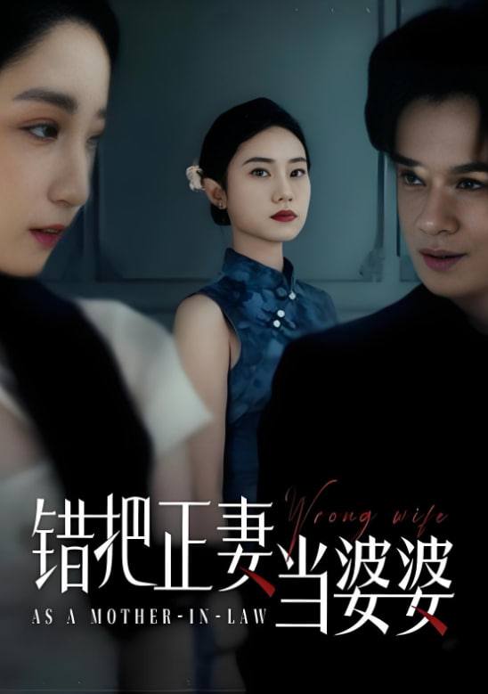 错把正妻当婆婆封面