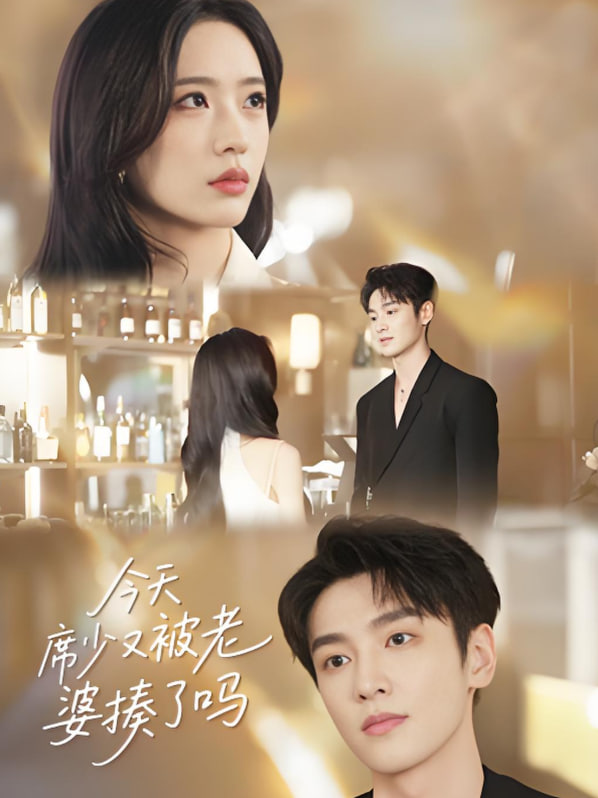 今天席少又被老婆揍了吗封面