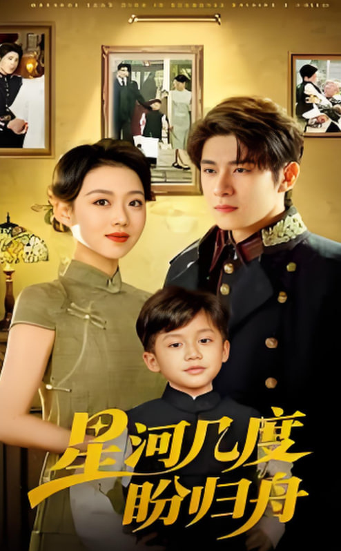 星河几度盼归舟封面