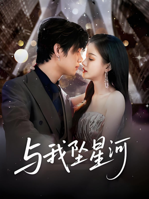 与我坠星河封面