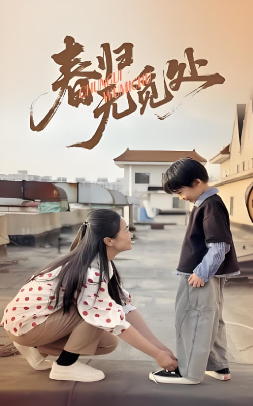 春归无觅处封面