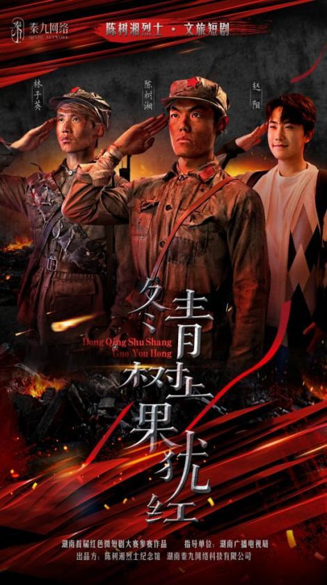 冬青树上果犹红封面