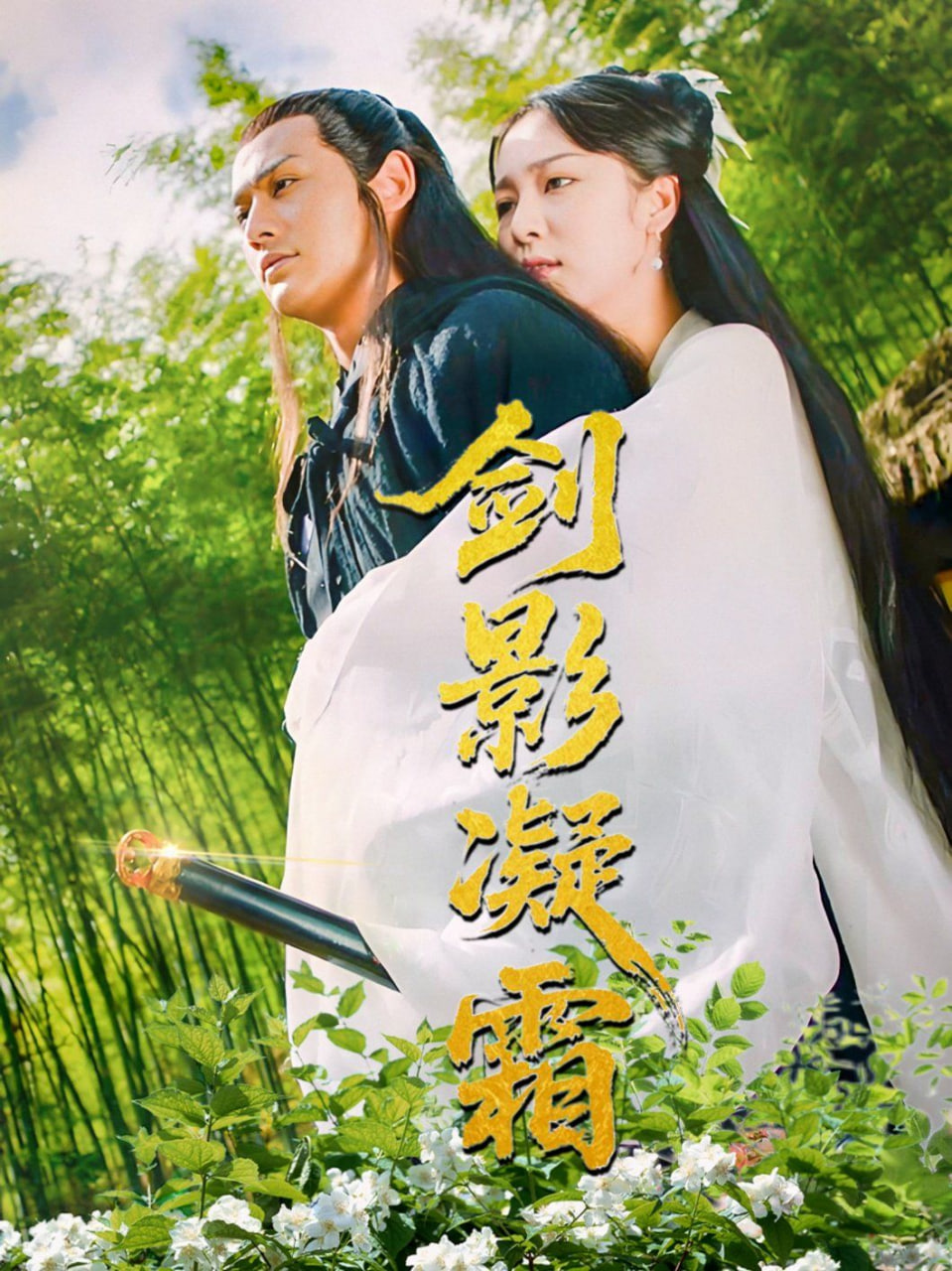 剑影凝霜封面