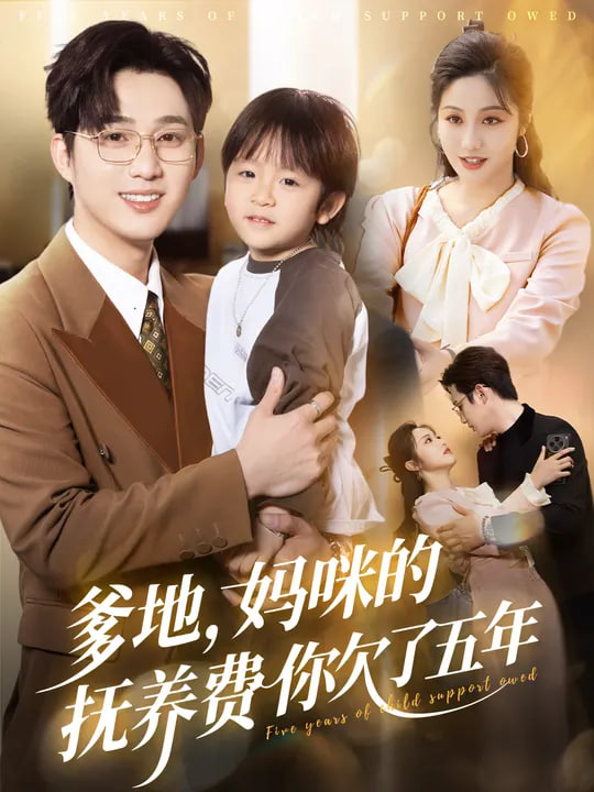 爹地妈咪的抚养费你欠了五年封面