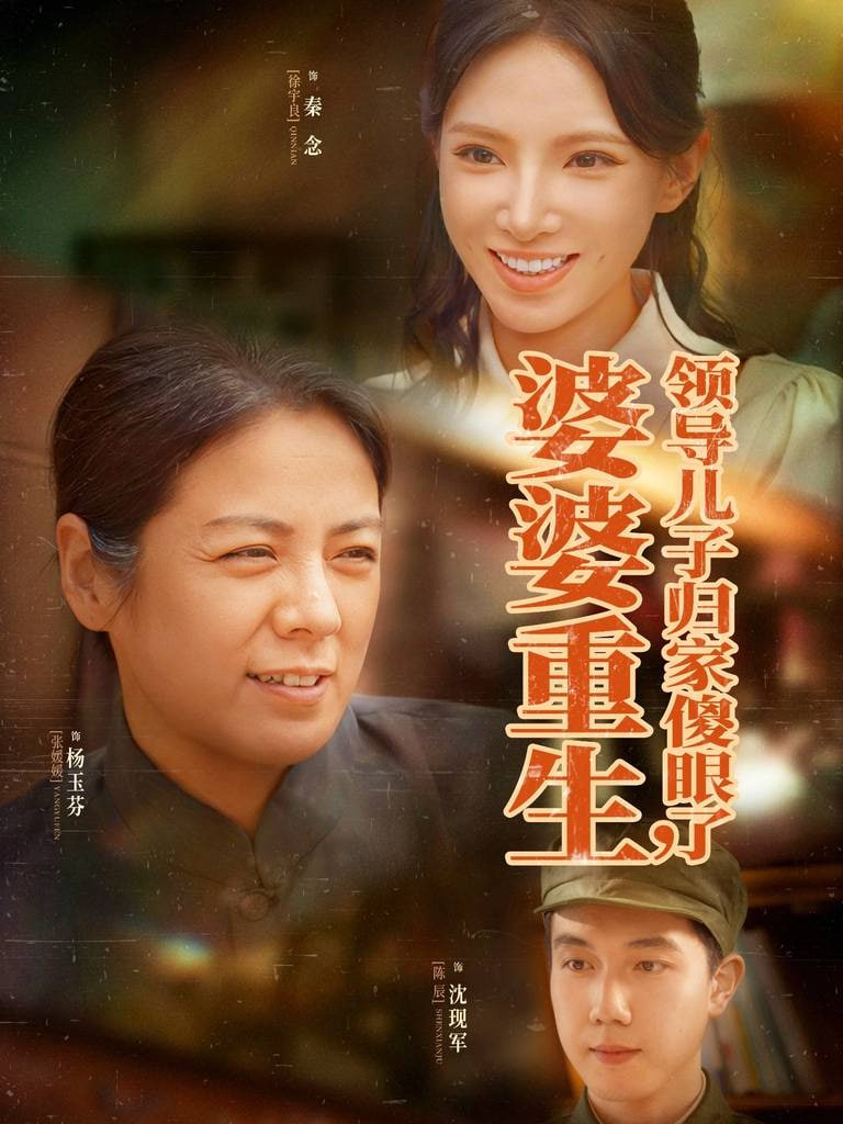 婆婆重生领导儿子归家傻眼了封面