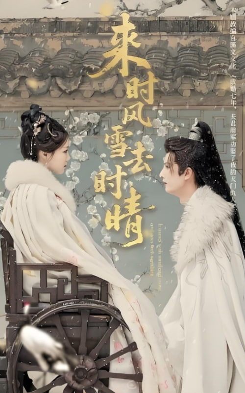 来时风雪去时晴封面
