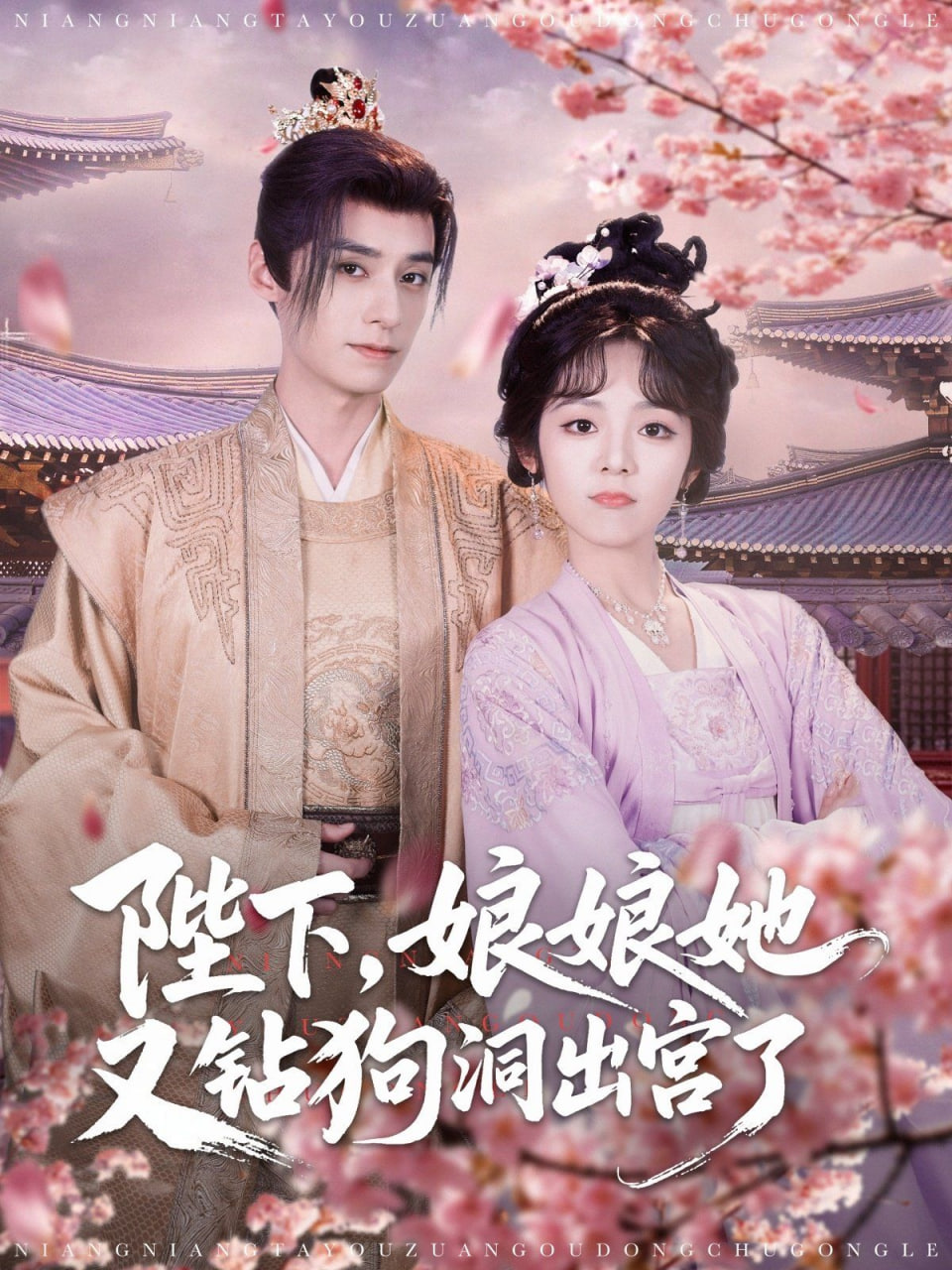陛下娘娘她又钻狗洞出宫了封面