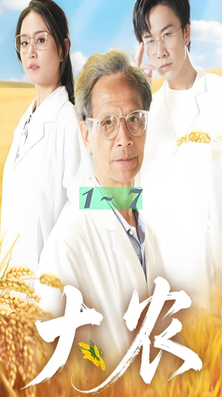 大农封面