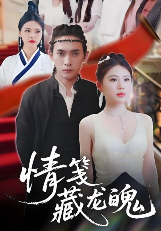 情笺藏龙魄封面