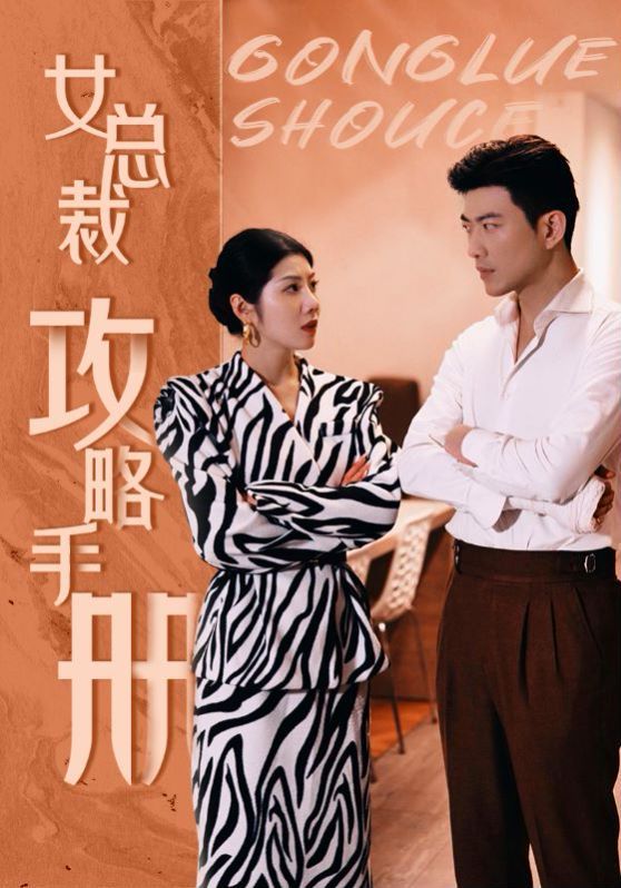 女总裁攻略手册封面