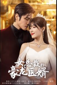 女总裁的豪龙医婿封面
