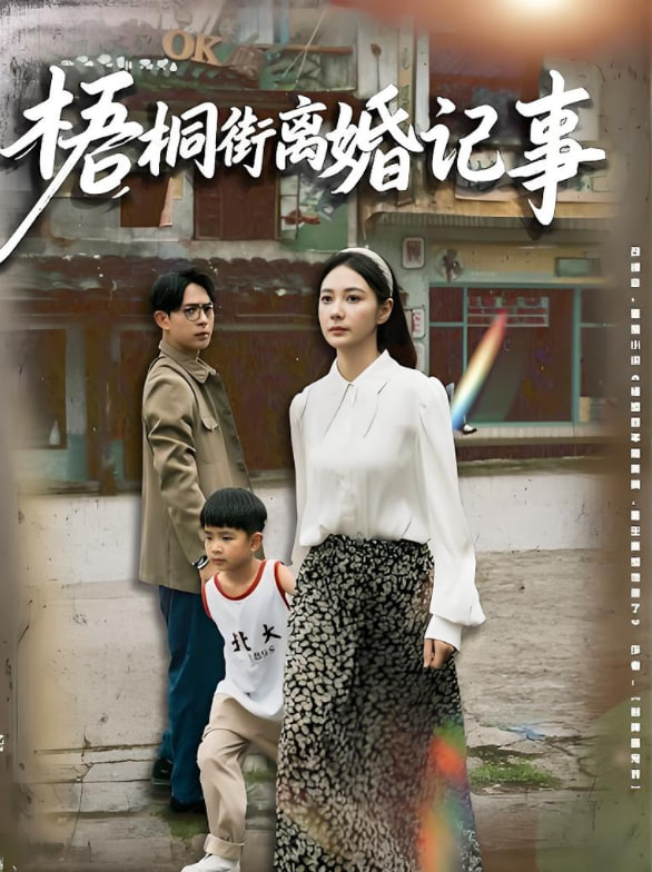 梧桐街离婚记事封面