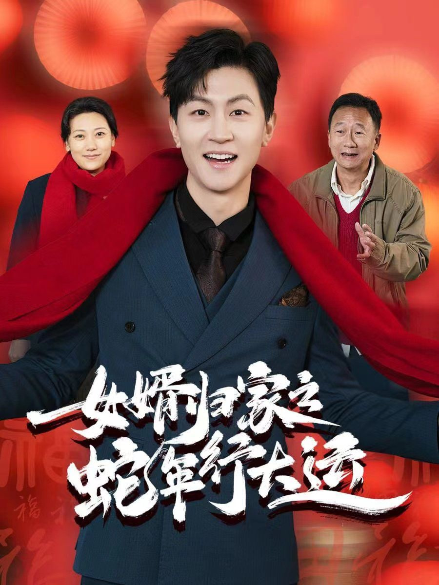 女婿归家之蛇年行大运封面