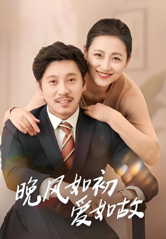 晚风如初爱如故封面