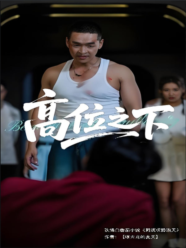 高位之下封面
