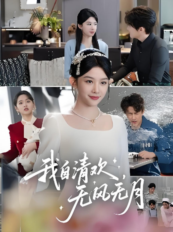 我自清欢无风无月封面
