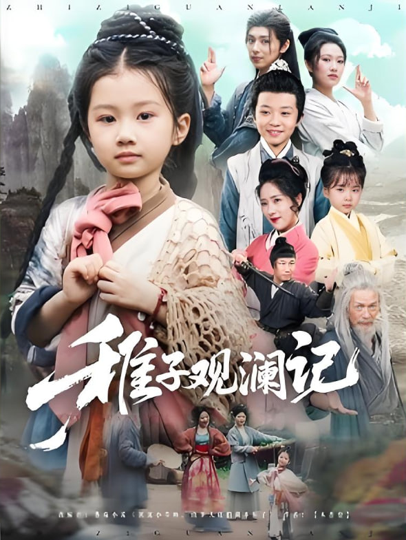 稚子观澜记封面