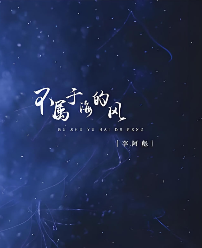 不属于海的风封面