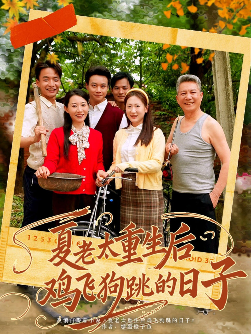 夏老太重生后鸡飞狗跳的日子封面