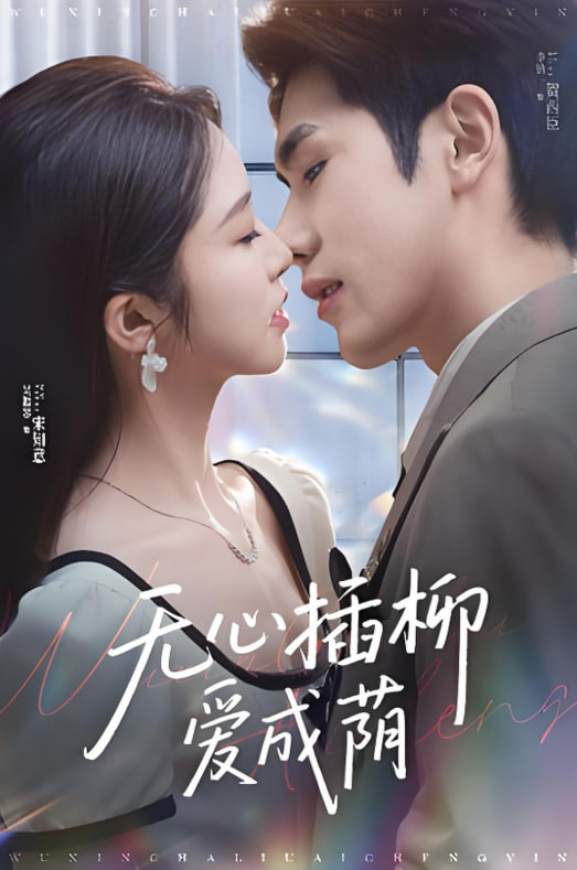 无心插柳爱成荫封面