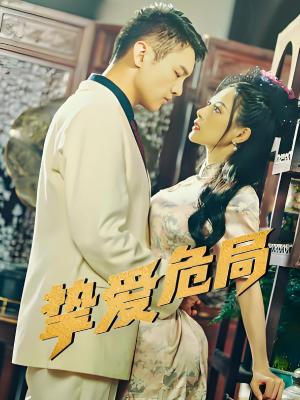 挚爱危局封面