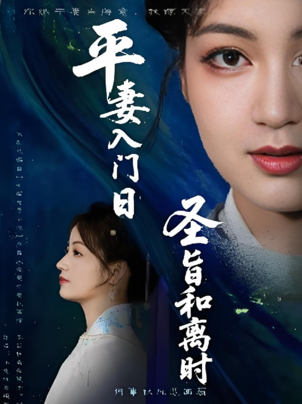 平妻入门日圣旨和离时封面
