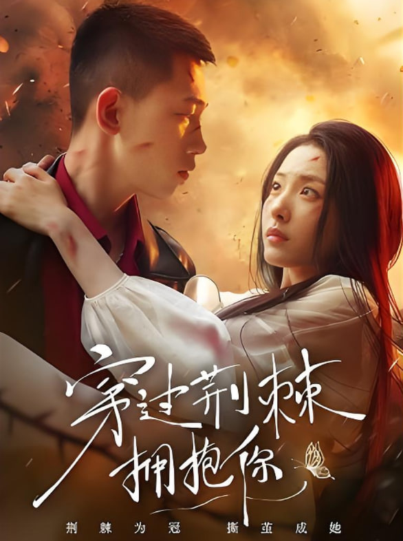 穿过荆棘拥抱你封面
