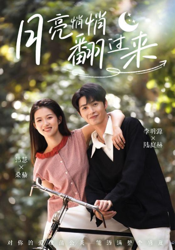 月亮悄悄翻过来封面