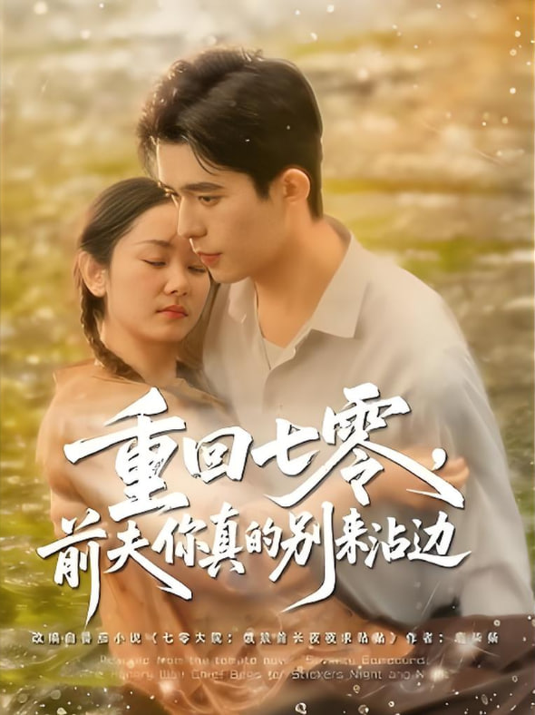 重回七零前夫你真的别来沾边封面