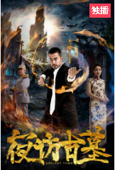 夜访古墓封面