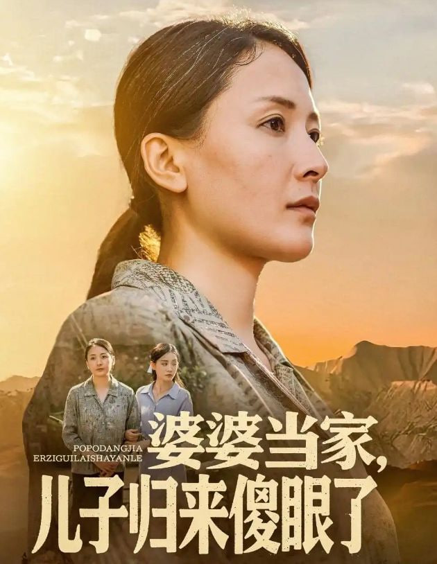 婆婆当家儿子归来傻眼了封面