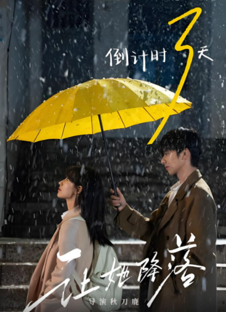 让她降落封面