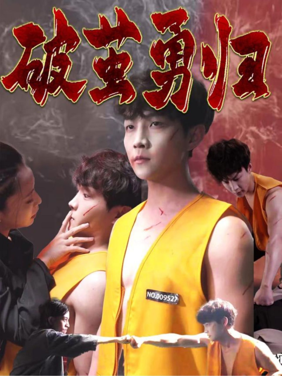 破茧勇归封面