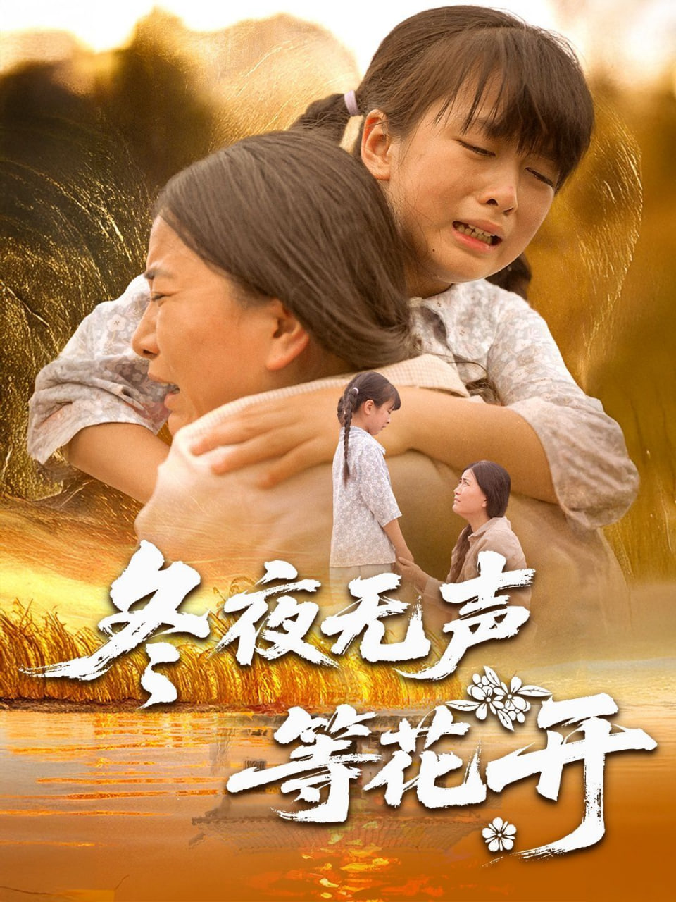 冬夜无声等花开封面
