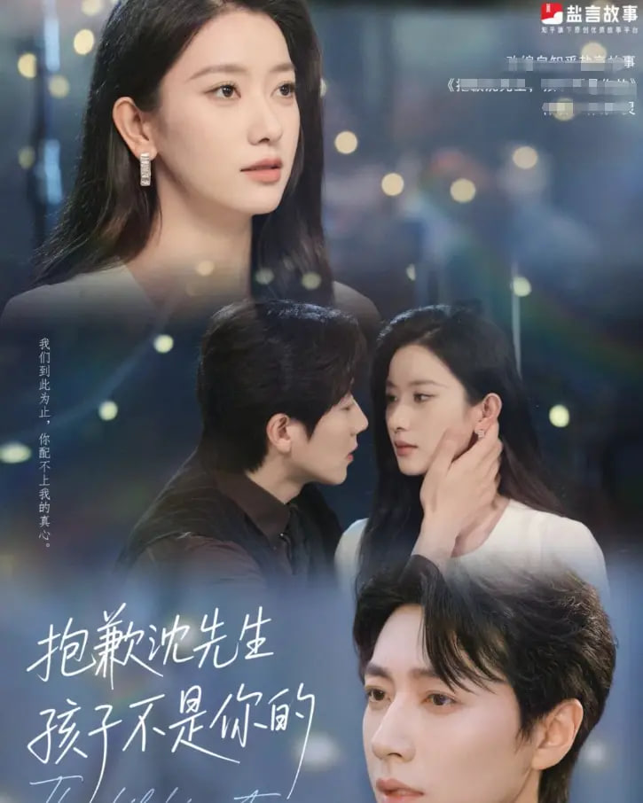 抱歉沈先生孩子不是你的封面