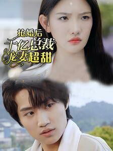 抢婚后千亿总裁宠妻超甜封面
