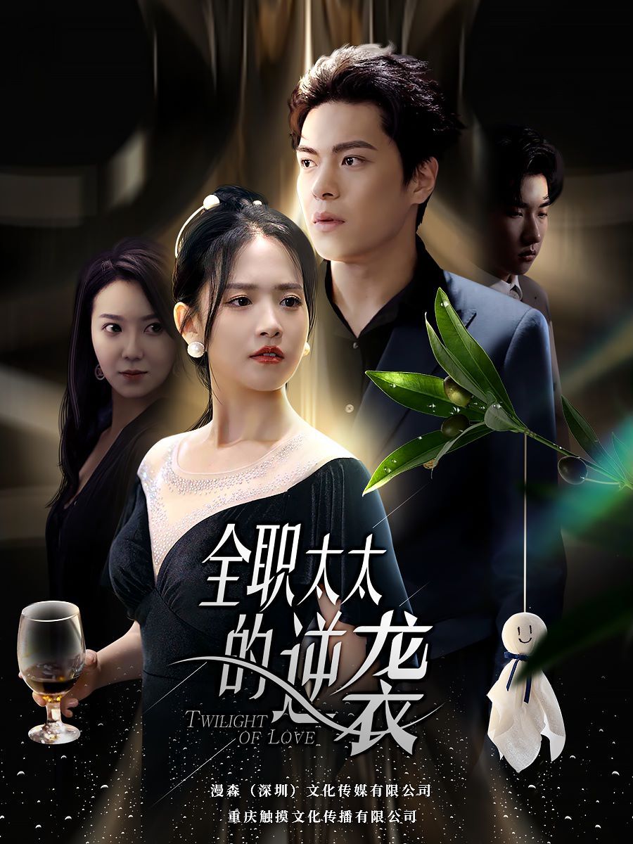 全职太太的逆袭封面