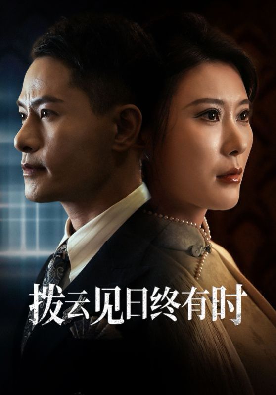 拨云见日终有时封面