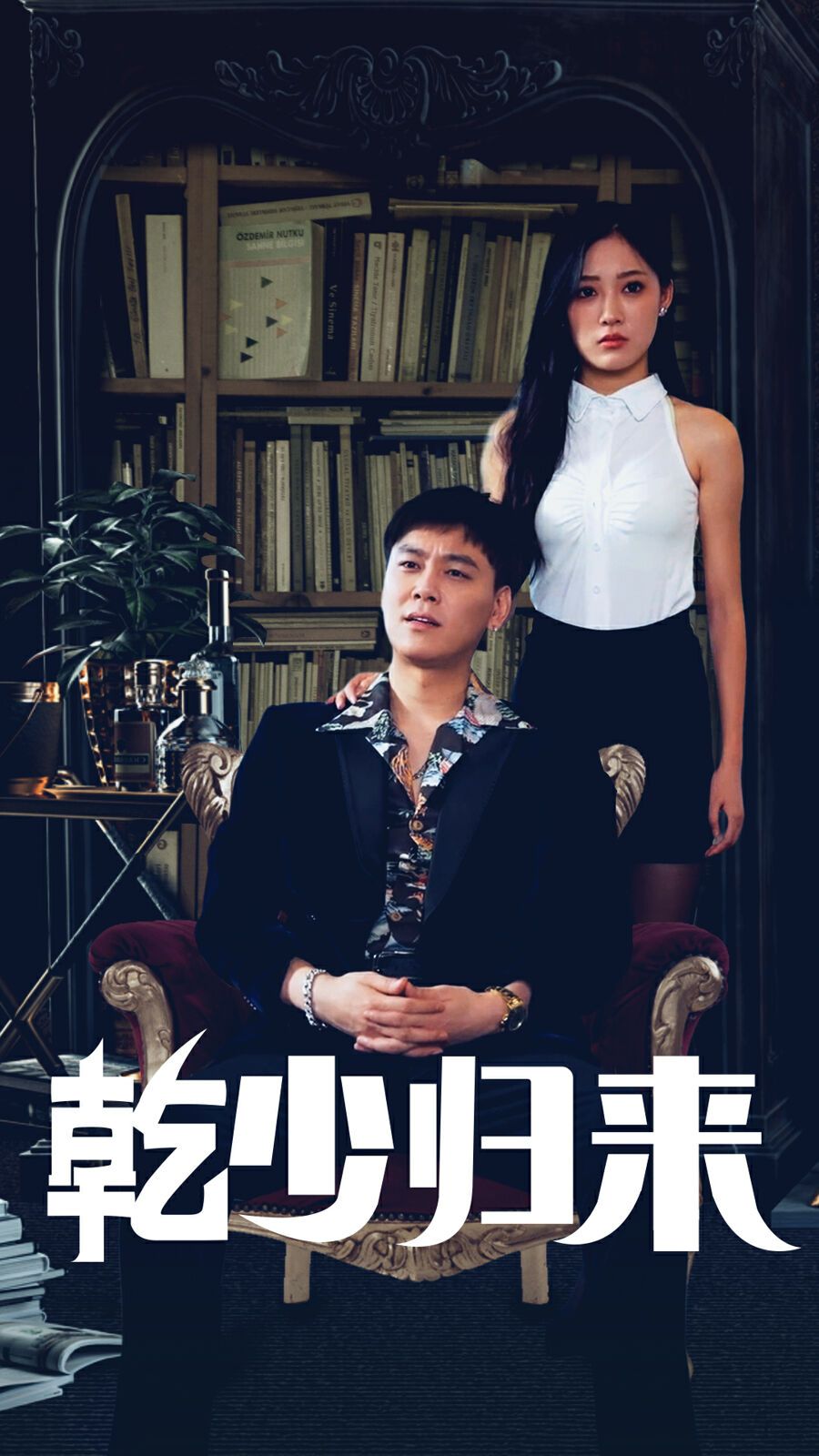 乾少归来第2部封面
