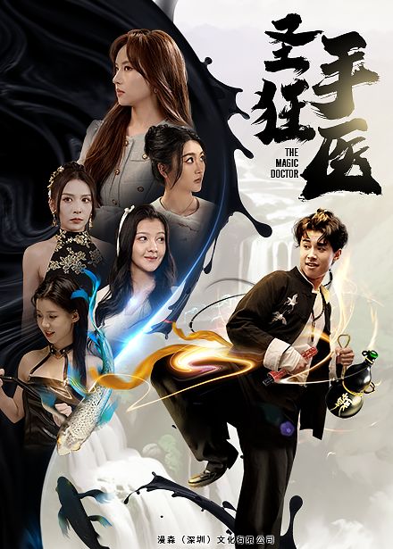 圣手狂医封面